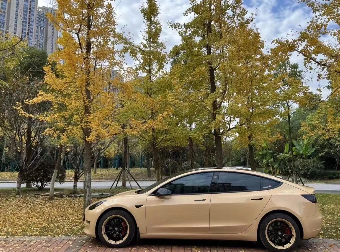 Veintone TPU Desert Storm (Mercedes) Car Film PPF