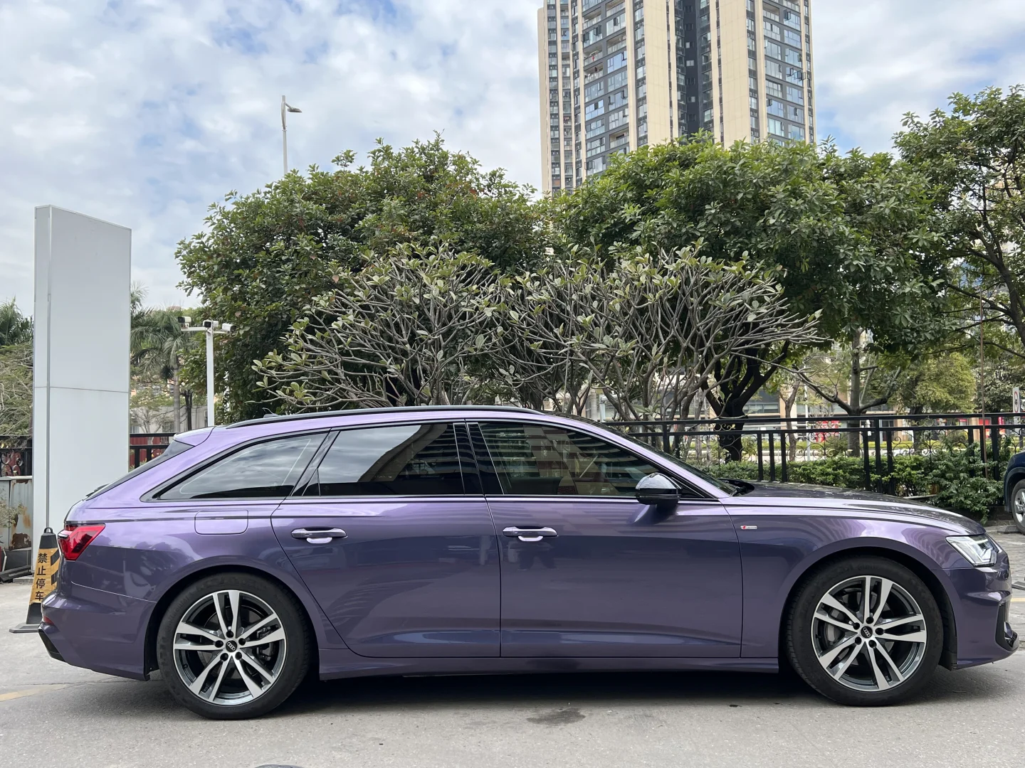 Veintone TPU Rosemary Purple Car Film PPF