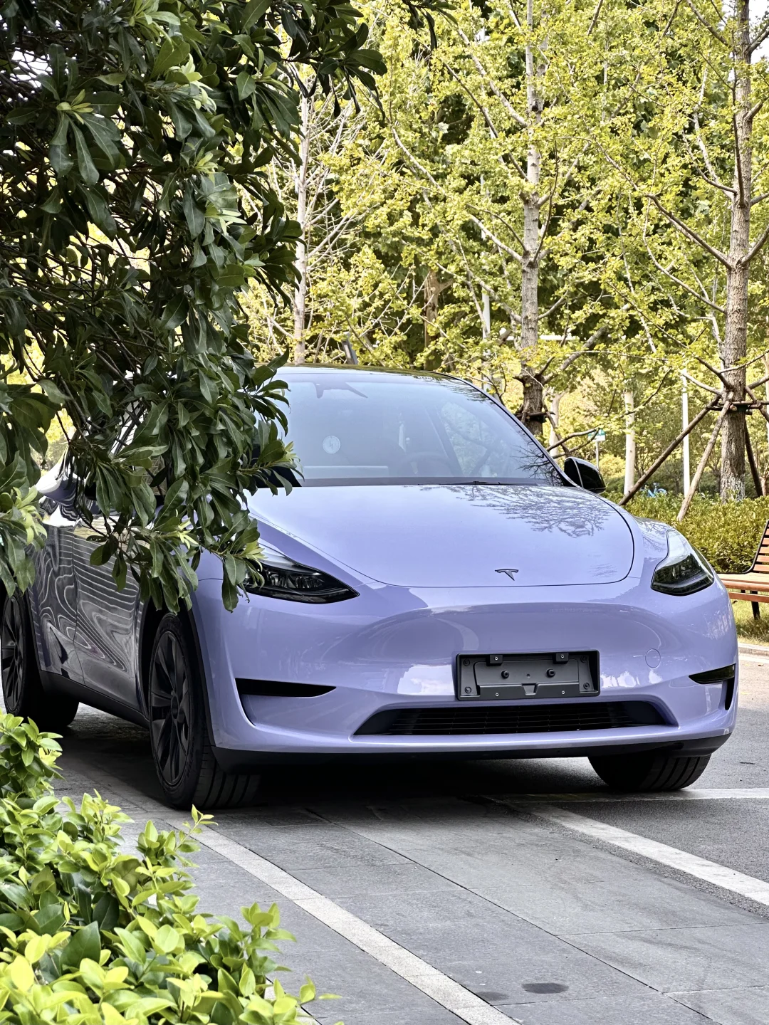 Veintone TPU Victoria Secret Purple Car Film PPF