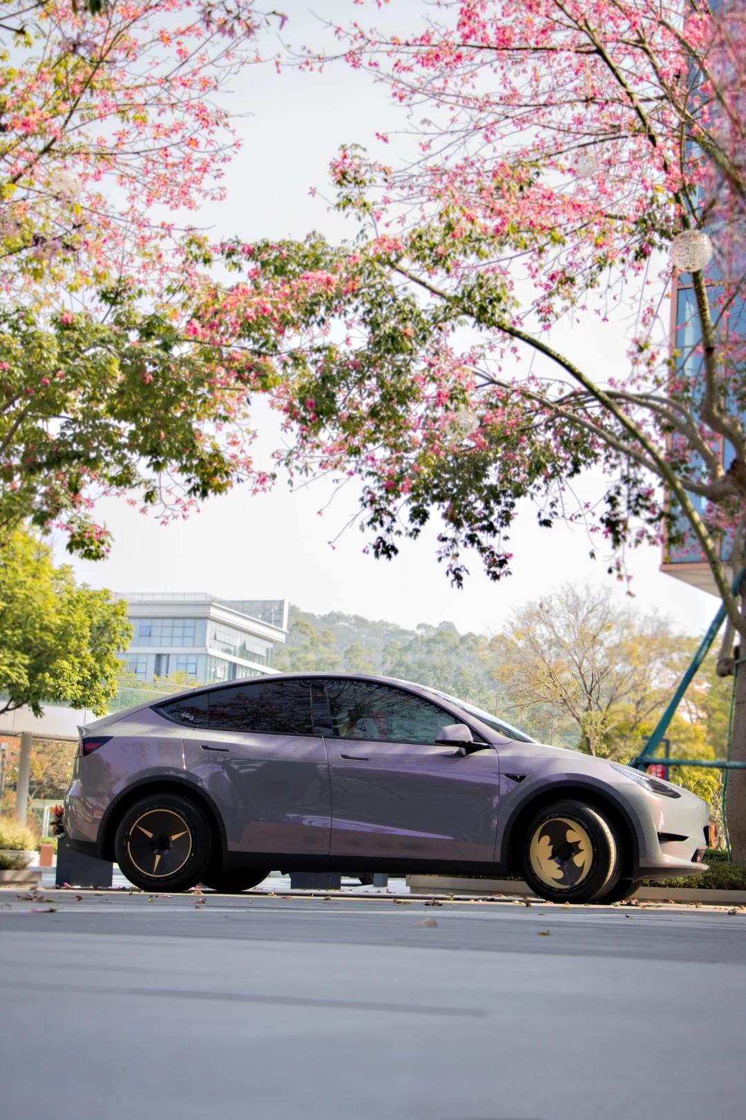 Veintone TPU Starry Sky Grey Phantom Car Wrap
