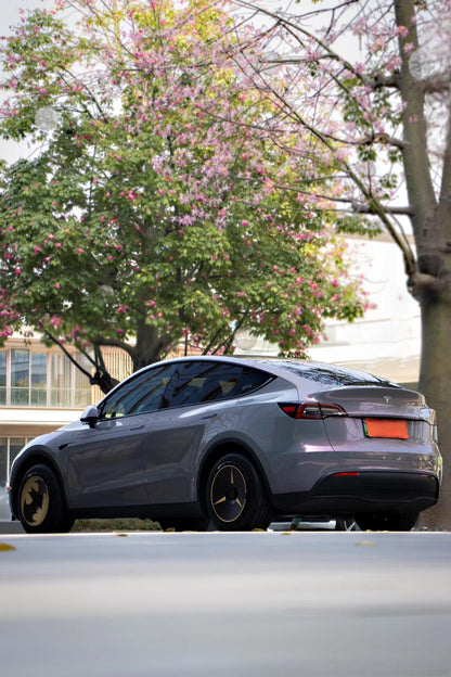 Veintone TPU Starry Sky Grey Phantom Car Film PPF