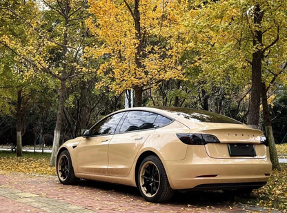 Veintone TPU Desert Storm (Mercedes) Car Film PPF