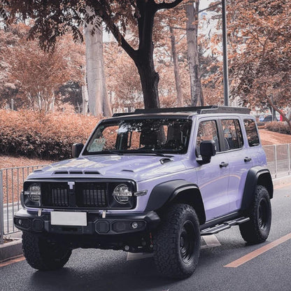 Veintone TPU Metallic Paint Star Violet Car Film PPF