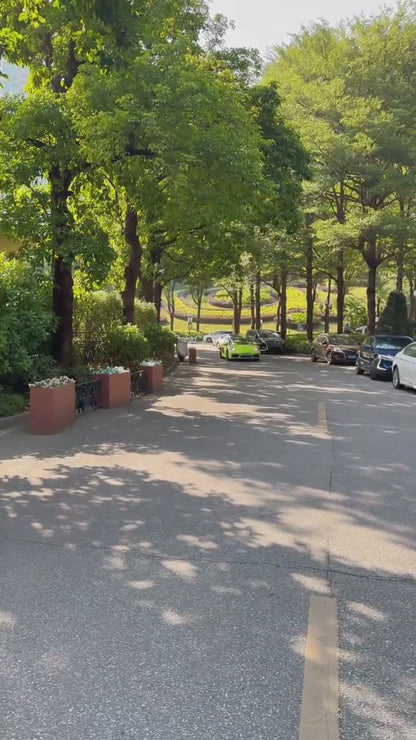 Veintone TPU Acid Green Car Film PPF